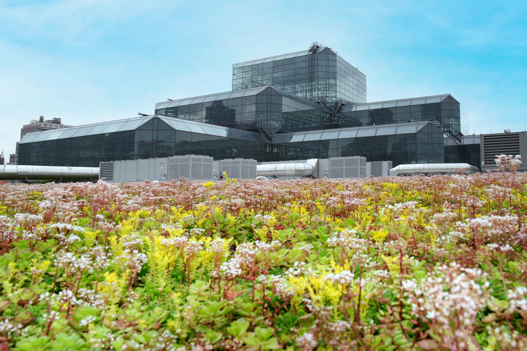 greenroofs-javits-4